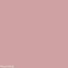 2" Bra Band Extender - Image 3