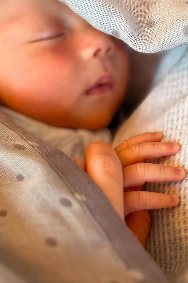 The Haven™ 100% Cotton 7-in-1 Nursing Cover - Image 26